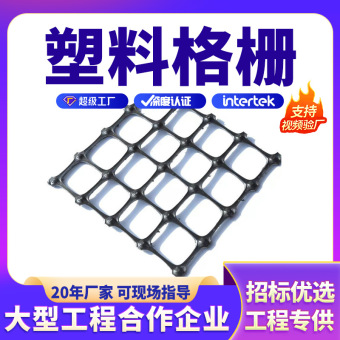 双向塑料土工格栅板围栏网养殖鸡网厂家定做工程专用建材拉伸kn