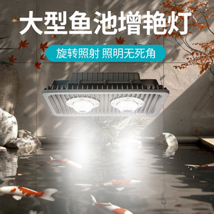 鱼池专用外置户外鱼池观赏灯锦鲤鱼池专用灯假山灯鱼池led增艳灯