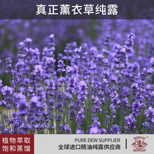 ���������a�^����޹�²ݼ�¶�M��ֲ���o�w��ˮ��¶����ԭ�ϱ����}