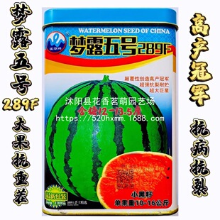 ��¶��̖289F���ϷN�����쿹�����ز翹���͝��͵͜��ش�A������