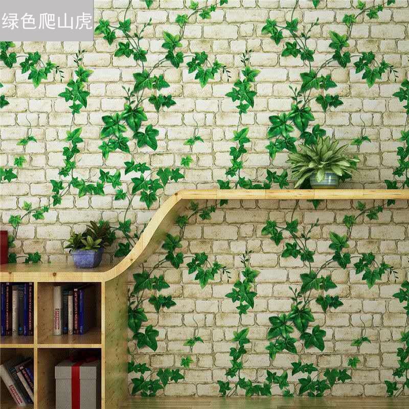 [매니저 추천] 그린 크리퍼