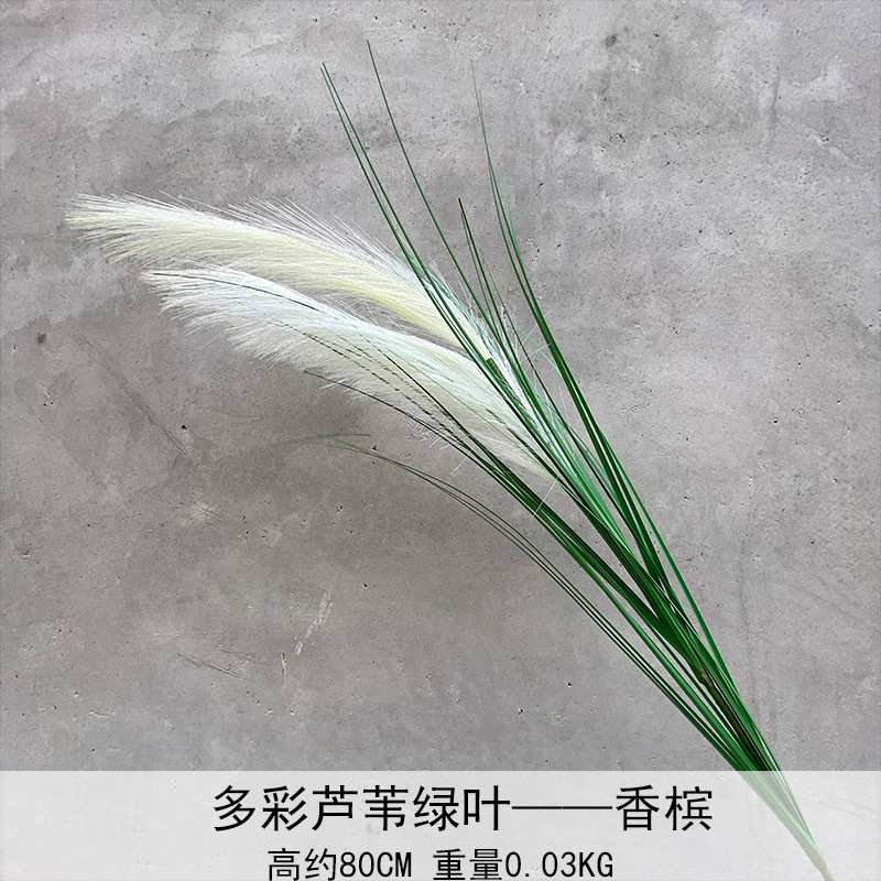 Caña hierba simulación de flores Cai Guoqiang Fuegos artificiales Caña Fuegos artificiales diurnos Fuegos artificiales diurnos Caña Fuegos artificiales