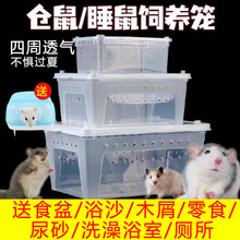 ����������B����B�����x�䌙����֩��ϐ������،m΁ţ���x����