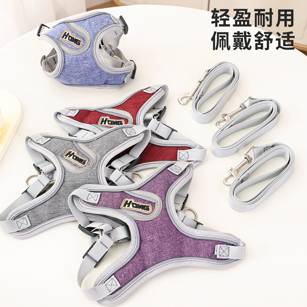 Собачий поводок для домашних животных крадет Теди Кики