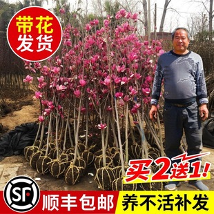 һ�����l���m������͵����ͺ���������ͥԺ�҃���G��ֲ���S�ϏV