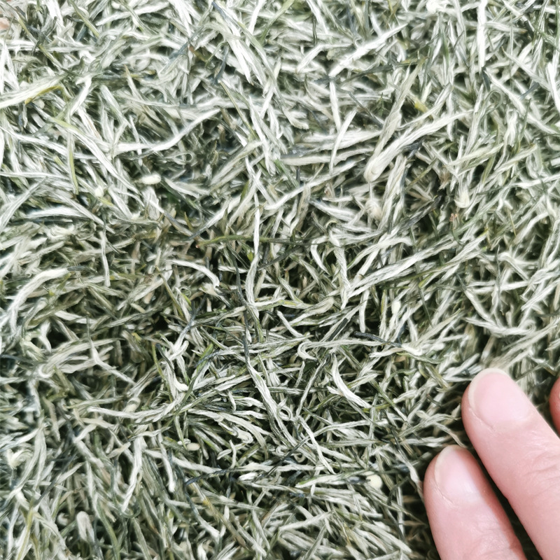 2024年新茶 四川雅安毛尖茶葉 雨前茶葉 散裝 綠茶批發 毛尖茶葉