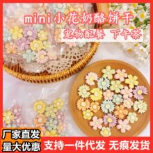 宠物零食小花鸡肉奶酪饼干猫狗鼠通用配餐奖励磨牙手工自制批发