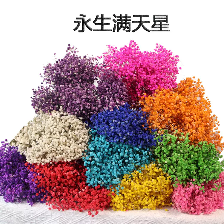 永生花满天星干花花束工厂直发真花地摊花束情人节礼物鲜花真花