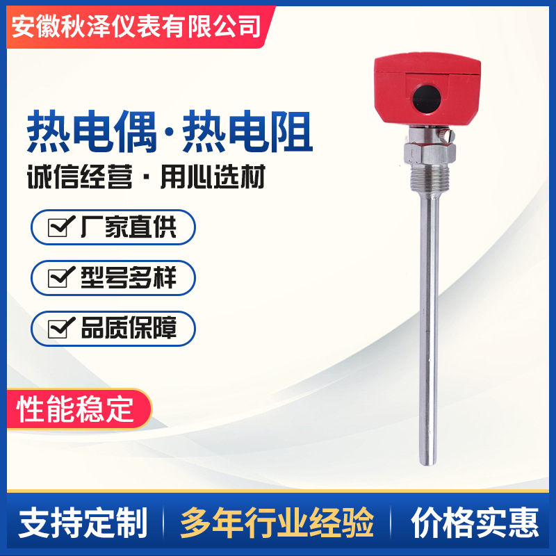 WZPK/-130/230防爆耐磨热电阻 PT100热电阻温度传感器 各款式加工