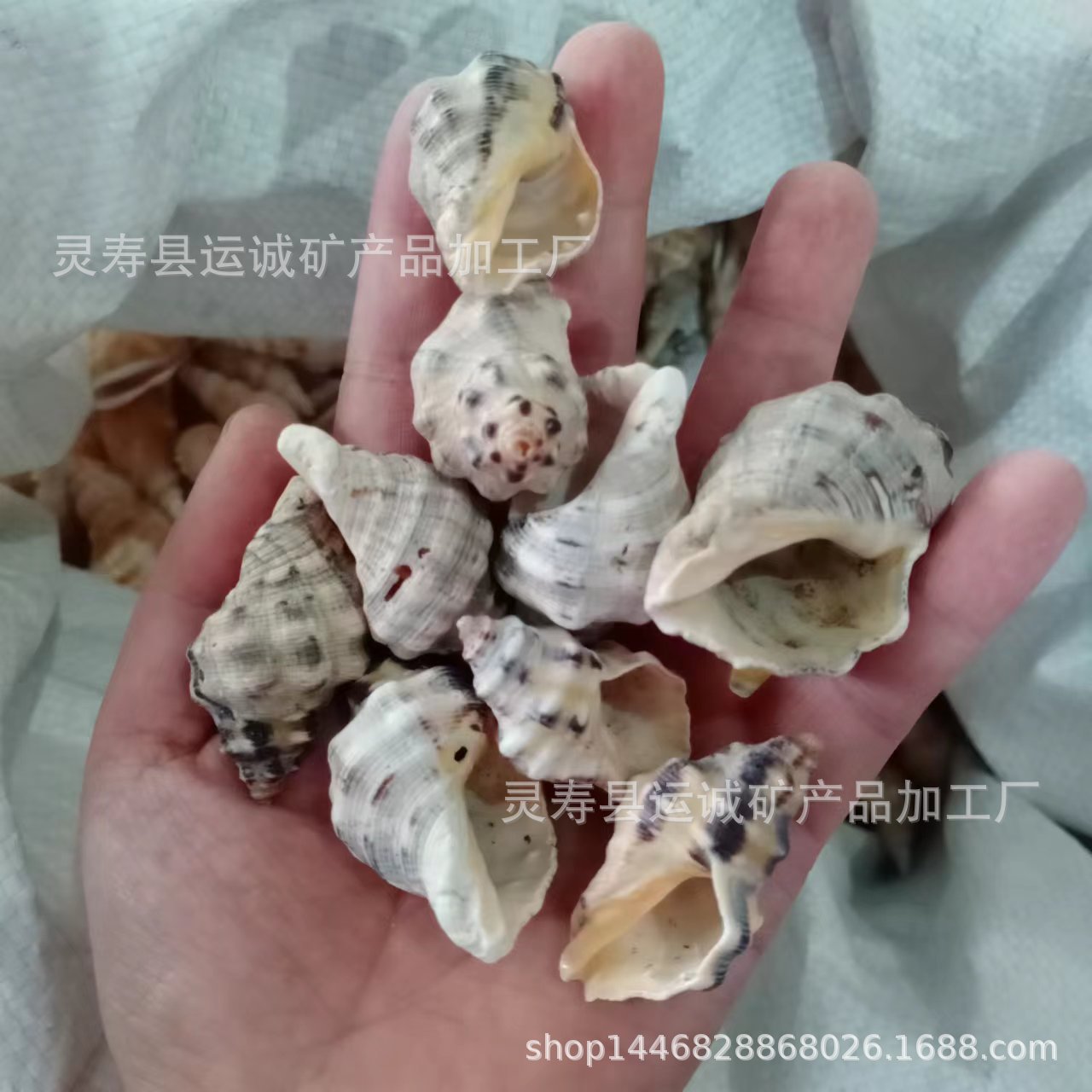 微信图片_20220919164641