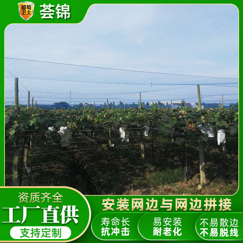 【蓝色防鸟网】果树大棚农场防护网家禽养殖护栏围档网塑料防鸟网