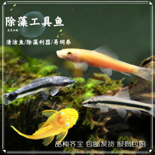 ���]�Ꭷ�^�p�~�����~����������~�ח��~���~�����~�坍�������~