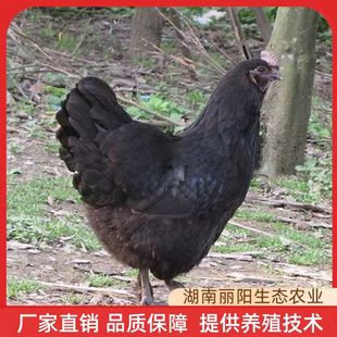 ���l�u����w��ھG�����u������u���������S�u�����_���u�൰�u