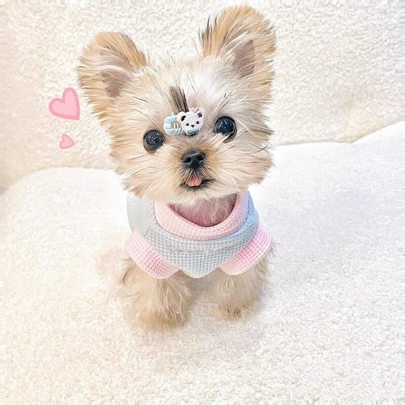 강아지 겨울 조끼 털 빠짐 방지 따뜻한 옷 요크셔테리어 말티즈 테디 푸들