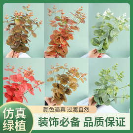 尤加利仿真花金钱叶绿植婚庆配材家居装饰拍照道具