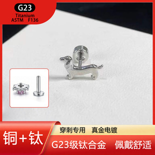 1.2��G23⁺Ͻ�ins�L���s�D�c����ᔃ��ݼy����ᔴ����B�������