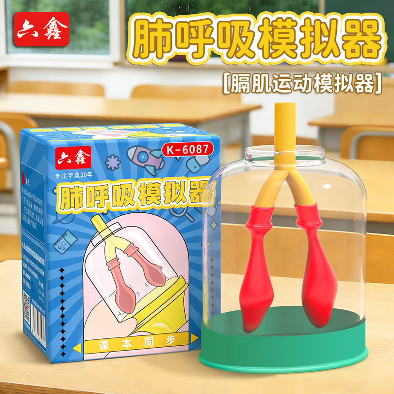 Lung Breathing Model Primary School Science Third Grade First Semester Digestive and Respiratory Unit Teaching Aids Diaphragm Movement Simulator Lung Breathing Model Primary School Science Third Grade First Semester Digestive and Respiratory Unit Teaching Aids Diaphragm Movement Simulator