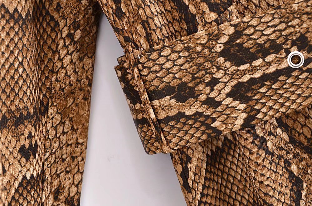Snake Print Long-Sleeved V-Neck Silk Satin Dress NSXFL101860
