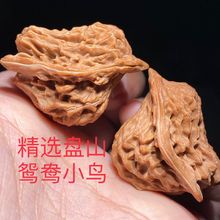 ����С�B�����Һ˱Pɽ�x���B����������ҼtƤҰ���Ϙ����Ұ����