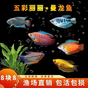 �����~��ˮ�~���^�p�~���B�ͻ�С�~������С����������~���~���~