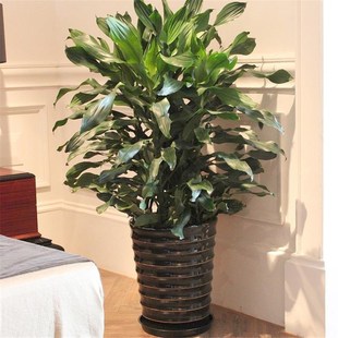 �ݼy�F���������F�����՚��k�����҃����Կ͏d�ļ�������~�Gֲ