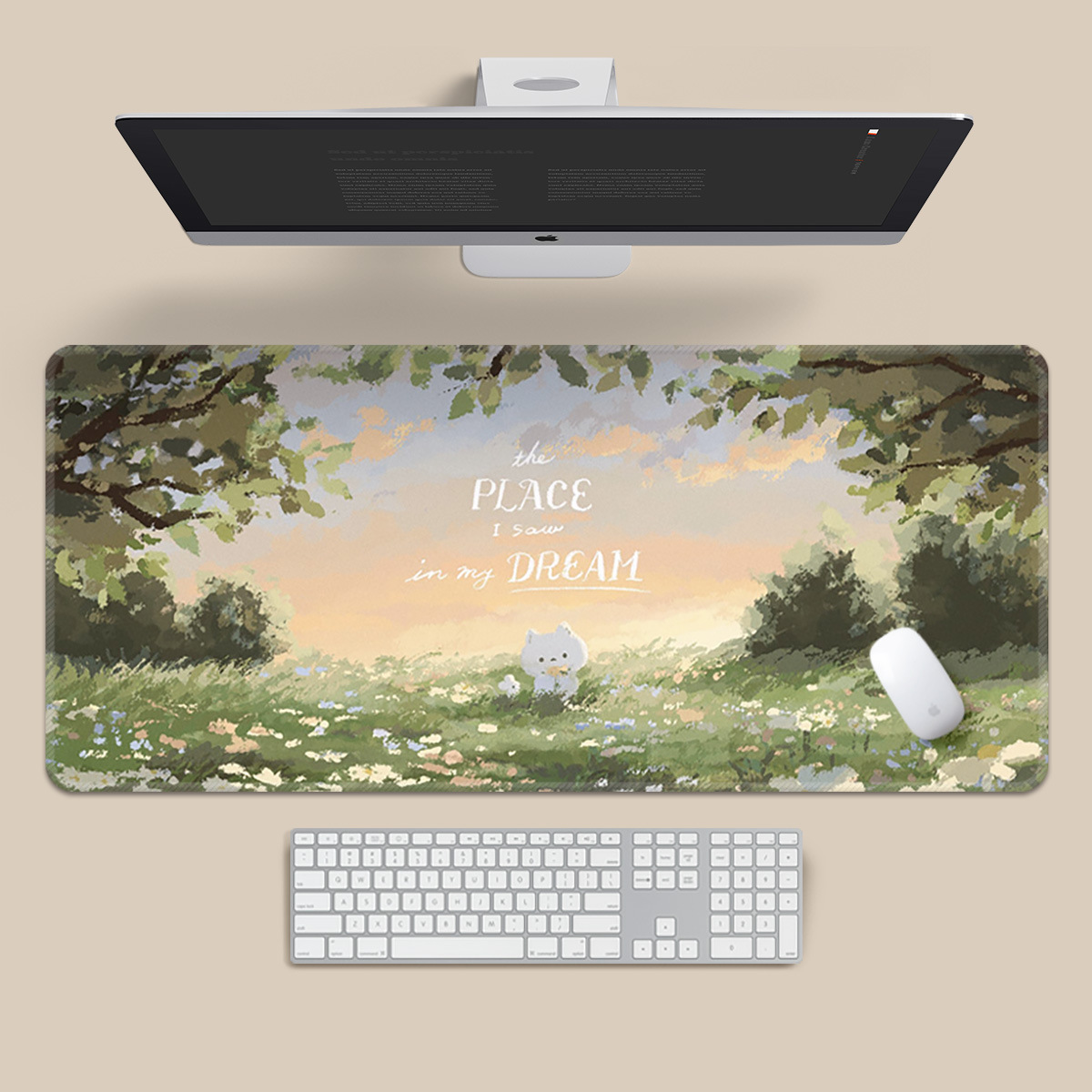 治愈猫咪-夕阳雏菊