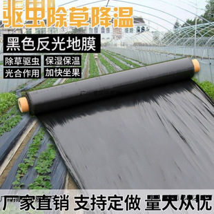 Special Mulch Film for Vegetable Growing, Agricultural Planting, Thickened Anti-Aging Black Mulch Film, Plastic Film for Insulation, Moisture Retention and Prevention