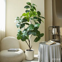 ����Gֲ����侫Ʒ��ɽ�żپGֲ�[���͏d�҃��辰�����b��쾰