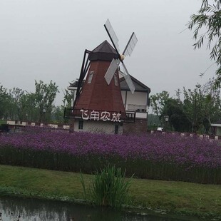 �S��ֱ�N������mľ�|���L܇�����ľ�L܇�������^���L܇���@�[��