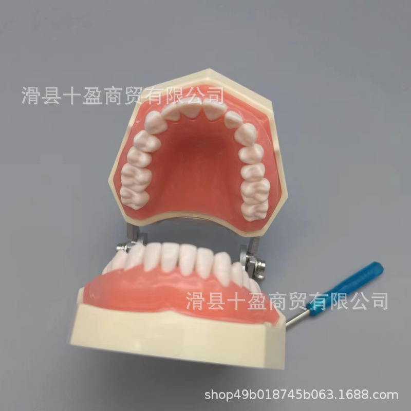 23ba6aa64196f396470816e44c7ec8