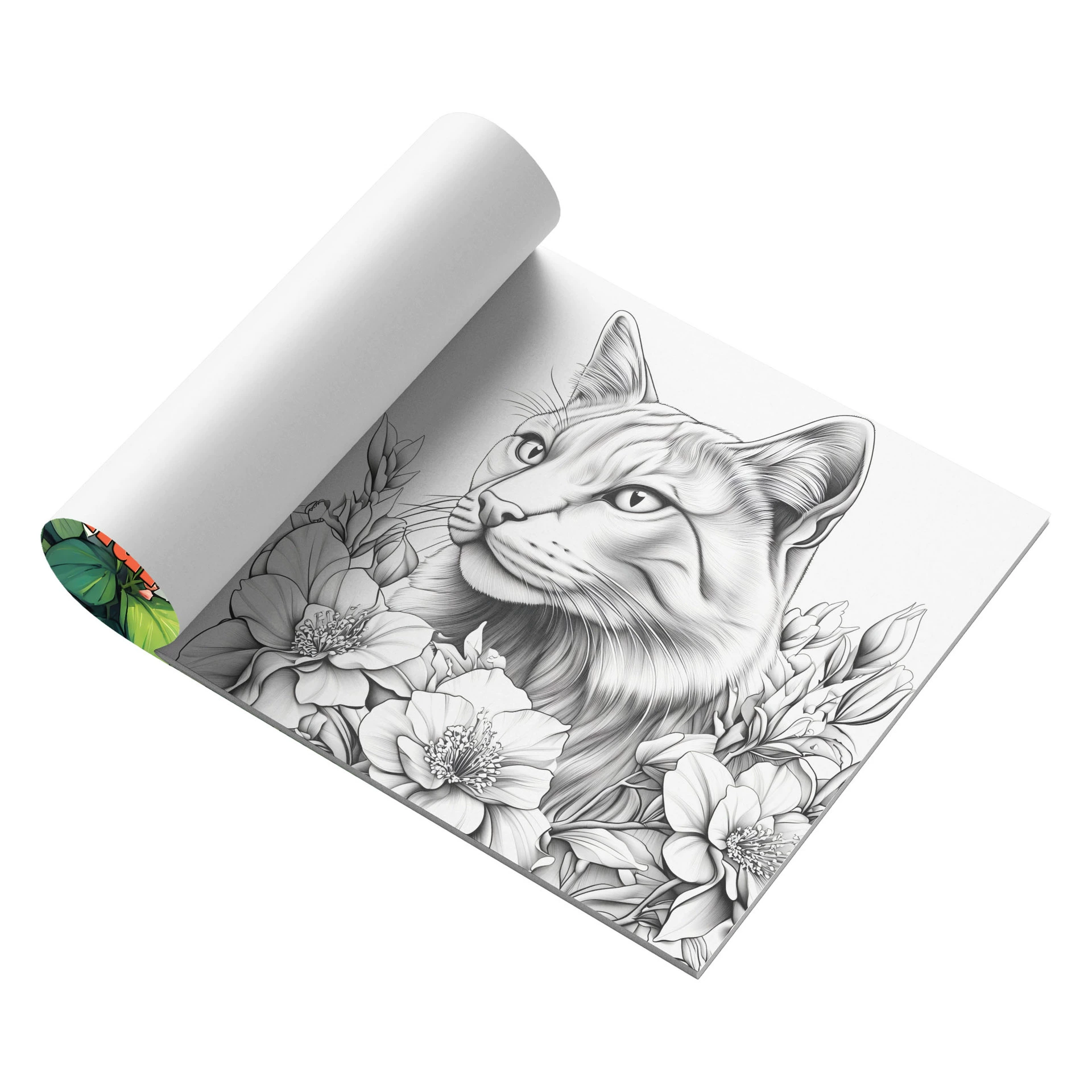 Раскраска от фабрики, книга-раскраска для взрослых, граффити, эксклюзив