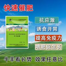 ţ��߷ʄ��F�ÿ�����������Ǽ����L�������������ţ�L�����ӄ�