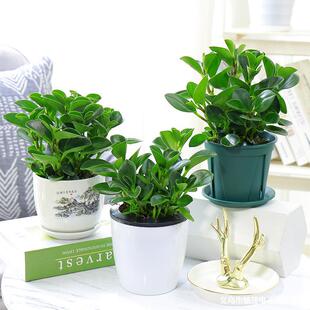 ����G����ֲ�������ļ��Gֲ�҃ȿ͏d����Gֲ����ˮ�໨�ܗd�ӻ�