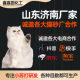 Deodorant baking soda manufacturers large grain cat litter deodorant particles cat litter companion deodorant cat litter device deodorant baking soda