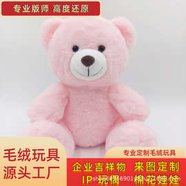 爆款彩色礼品熊毛绒玩具生日礼品可爱陪伴公仔可定制