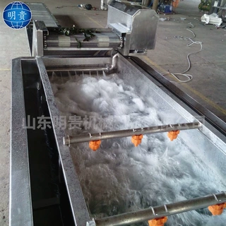 辣椒气泡除杂清洗机 毛豆清洗漂烫流水线 网带式洗菜机器