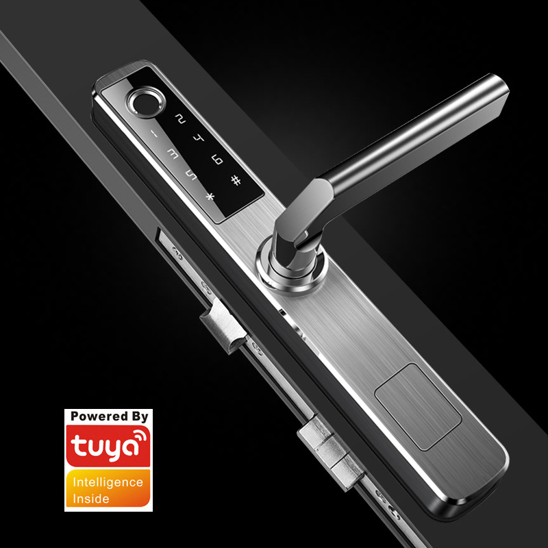 Broken bridge aluminum tuya lock waterproof double-sided