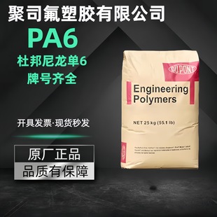 Flame Retardant Pa6 American Dupont Fr10 Nc010 Electroplating Grade 73m30 Thermally Stable Automotive Digital Electrical Nylon 6