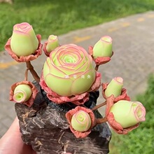 õ�������^�k����ˮ���ҾƱ�ɽ��õ��Ⱥ��ֱ�N���ֵ���҃ȽM��