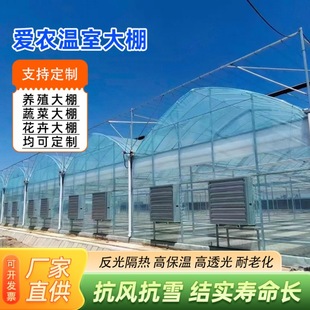 �r�I����ꖜ��Ҵ���ֲ�ﻨ��Nֲ�����B���a���B�w���ﹰ�δ���