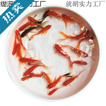 С���~���^�p�~��ˮ�ͻ���B�~��ˮ�t���\�����~С���~���~���~