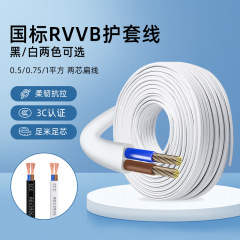 卸売国家標準 RVVB 2 芯被覆線 0.5 0.75 1 角銅コア平行線電源コード家庭用電線