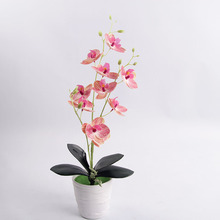 �߷��滨���~�zƬ����С�����m�ٻ� ��c�Ҿ��b� �ָ��m�����l