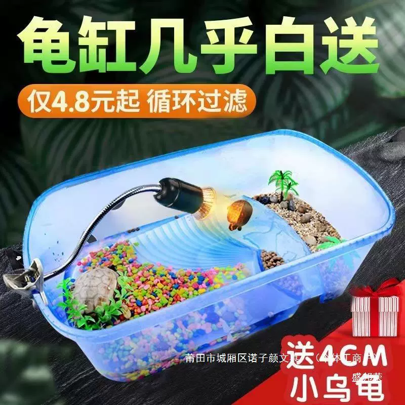 Factory turtle pot small delivery table fish tank plastic turtle turtle tank breeding box Brazilian turtle turtle villa