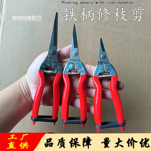 Factory direct iron handle pruning shears gardening shears fruit picking shears non-slip pruning shears grape shears medium and large small size shears