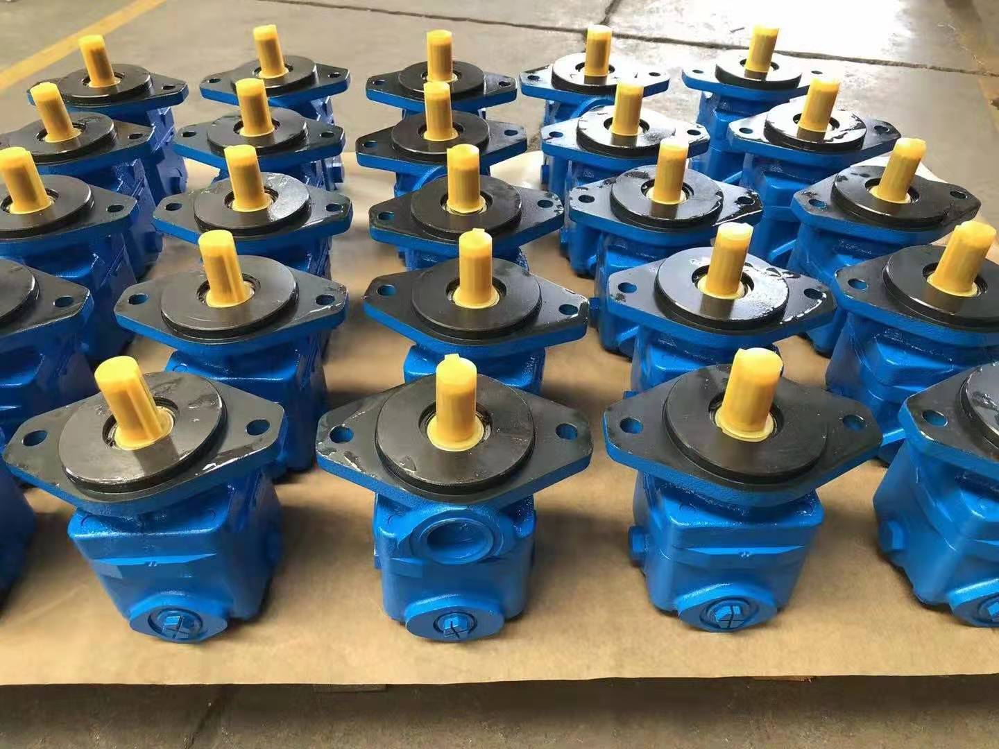 鸿鑫隆丹尼逊液压油泵T6C0081R00B1，DENSION叶片泵T6C 012 2R01