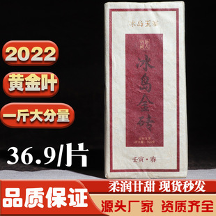 ����ն�����u�S���~�ϲ�u 2022��Ř��ն� 500������ն�����