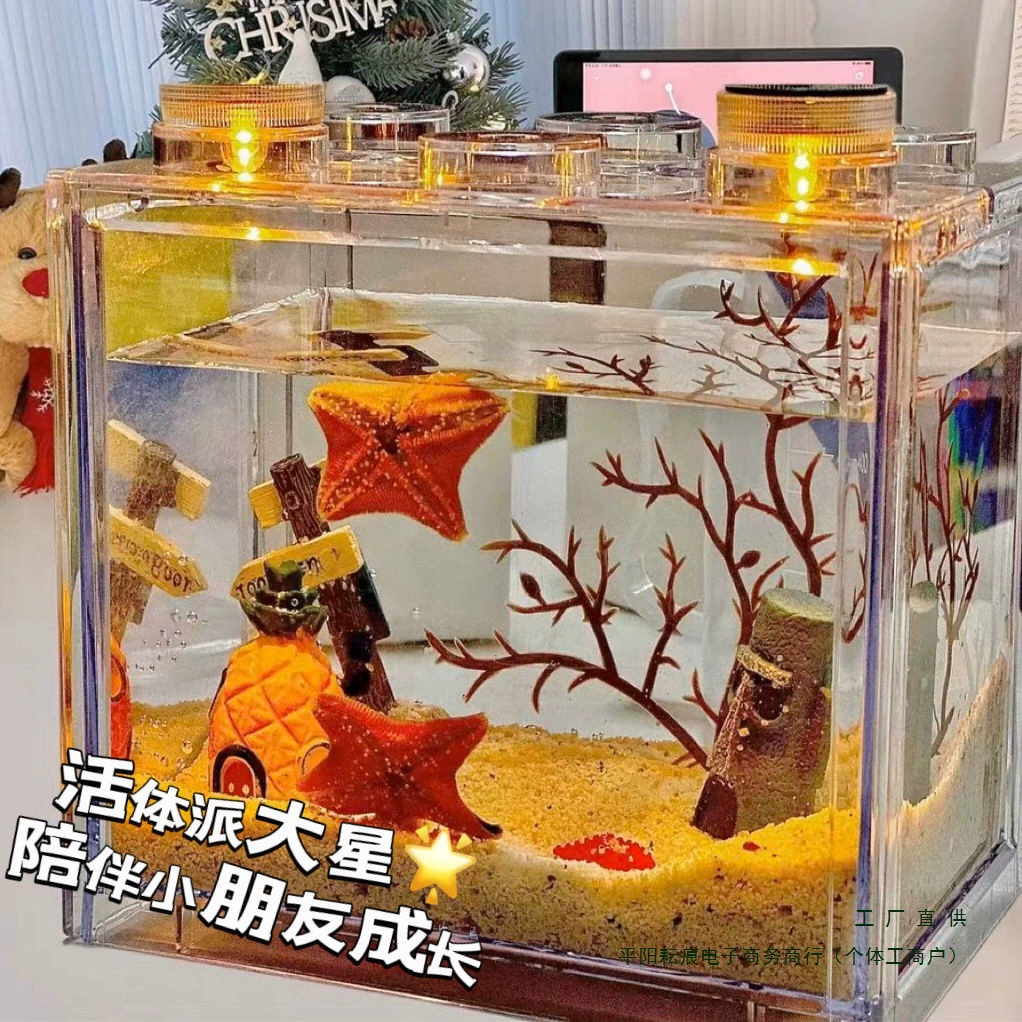 Модный мини-морской рептилий в виде морской звезды, роскошный набор для кормления морской звезды, настольный декоративный ленивый питомец, детский подарок
