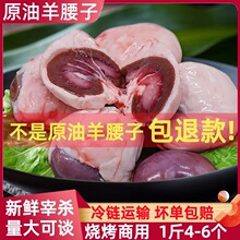 原油羊腰子新鲜羊腰子现杀烧烤羊肾内腰羊鞭羊腰子商用批发