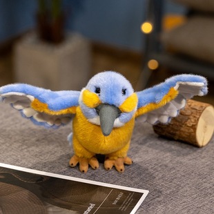 �ձ��|����Ұ����@�޶����B���B�L�^�X���kë�q��߿ɐ�pp�޶Y��